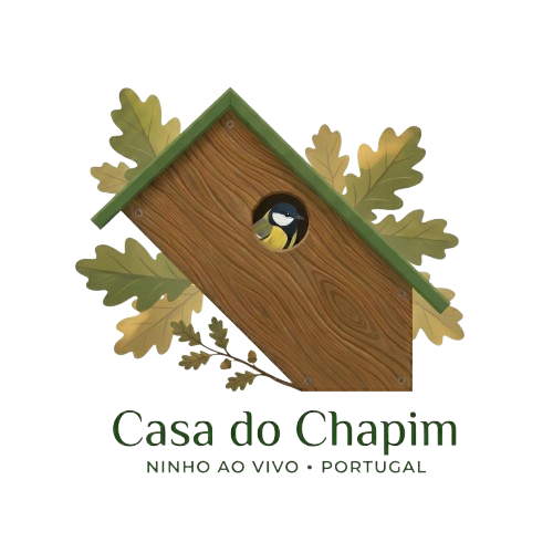 Casa do Chapim